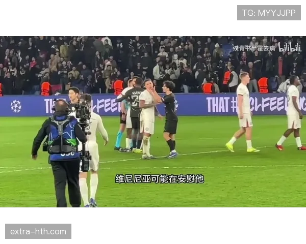 维蒂尼亚 vs 恩佐·费尔南德斯：组织者战术角色与比赛影响力对比分析